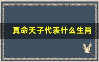 真命天子代表什么生肖(真命天子是啥生肖)