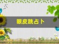 眼皮跳占卜(眼皮跳占卜六爻)