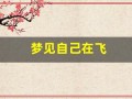 梦见自己在飞(梦见自己在飞来飞去)