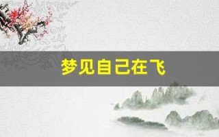 梦见自己在飞(梦见自己在飞来飞去)