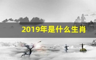 2019年是什么生肖(2019年是属什么的生肖)