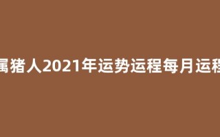属猪人2021年运势运程每月运程(属猪人2021年运势运程每月运程 卜易居)