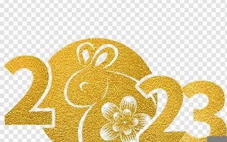 2023年兔年(2023年兔年五行属什么)