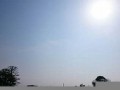 2017年3月31日(2017年3月31日出生)
