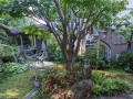 2021年5月20日(2021年5月20日适合安葬吗)