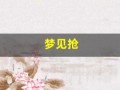 梦见抢(梦见抢黄金什么预兆)