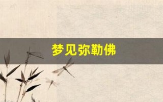 梦见弥勒佛(梦见弥勒佛现身还有佛光)