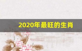 2020年最旺的生肖(2020年最旺的生肖鸡)