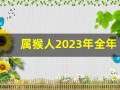属猴人2023年全年运势运程(属猴人2023年全年运势运程男68年)