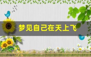 梦见自己在天上飞(梦见飞在空中)