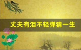 丈夫有泪不轻弹猜一生肖(丈夫有泪不轻弹解一肖)