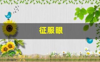 征服眼(征服眼电子狗使用教程)