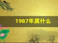 1987年属什么(1986年属什么)