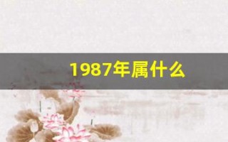 1987年属什么(1987年属什么的生肖)