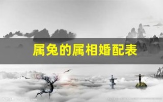 属兔的属相婚配表(属兔和属兔的婚配如何)
