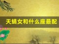 天蝎女和什么座最配(天蝎女和什么座最配排名)