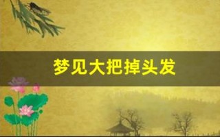 梦见大把掉头发(梦见大把掉头发什么意思周公解梦)