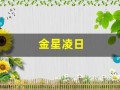 金星凌日(2012年金星凌日)