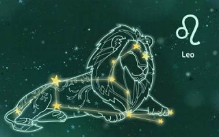 狮子座-性格分析(狮子座性格和特点)