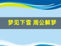 梦见下雪 周公解梦(梦见下雪是什么意思周公解梦网)