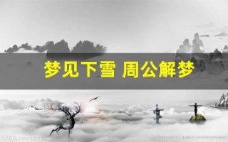 梦见下雪 周公解梦(梦见下雪是什么意思周公解梦网)