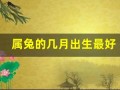 属兔的几月出生最好(属兔的几月出生最好命男孩子)