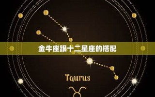 金牛座配对星座(金牛座配对的星座)