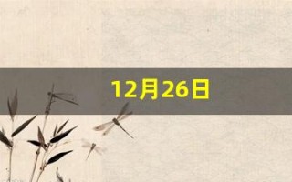 12月26日(12月26号往后100天是几号)