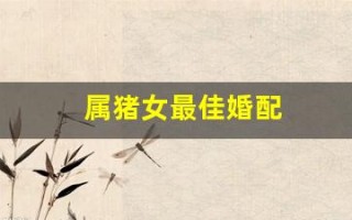 属猪女最佳婚配(属猪女最佳婚配属相)