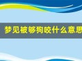 梦见被够狗咬什么意思(梦见狗咬自己好不好)