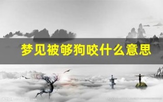 梦见被够狗咬什么意思(梦见狗咬自己好不好)