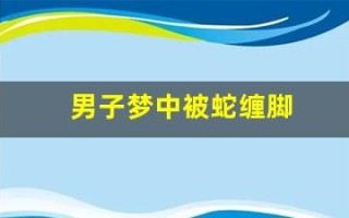 男子梦中被蛇缠脚(男子梦中被蛇缠脚怎么回事)