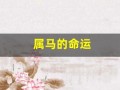 属马的命运(90年属马2025年运势及运程)