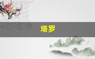 塔罗(塔罗占卜免费测试)