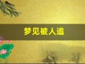 梦见被人追(梦见被人追逃跑是什么征兆)