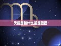 天蝎座和什么座最配(天蝎座和什么座最配对友情最好)