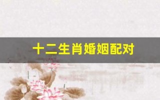 十二生肖婚姻配对(十二生肖婚姻配对表鸡和狗)