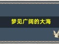 梦见广阔的大海(梦见好大好大的海)