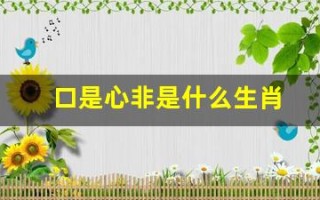 口是心非是什么生肖(口是心非是什么生肖回答一下)