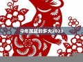 2023年属鼠人的全年运势(2023年属鼠人的全年运势1984)