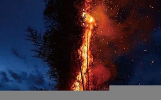 3月14号(3月14号末次月经预产期是什么时候)