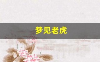 梦见老虎(梦见老虎是什么预兆 女性)