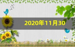 2020年11月30日五行穿衣(2020年11月30日穿衣旺运)