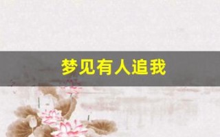 梦见有人追我(梦见有人追我我拼命跑和躲藏)