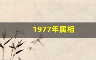1977年属相(1977年属蛇最佳婚配)