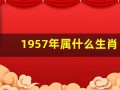 1957年属什么生肖(1954年属什么生肖)