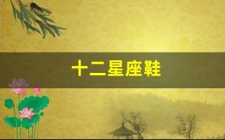 十二星座鞋(十二星座鞋子高跟鞋怎么画)