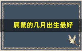 属鼠的几月出生最好(属鼠的几月出生最好命男孩子)
