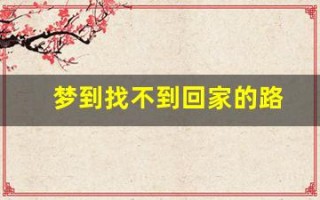 梦到找不到回家的路(最后各种绕小道终于回家了)