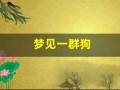 梦见一群狗(梦见一群狗追咬我什么预兆)